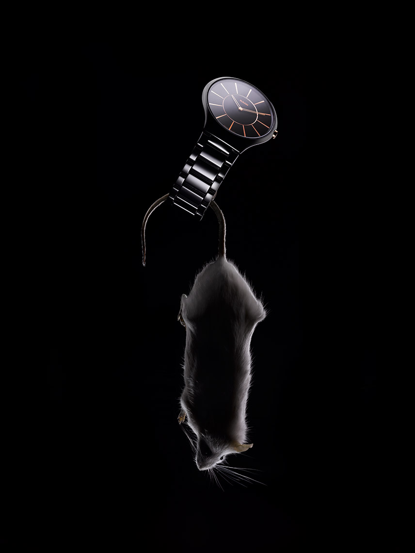 Rado_Mouse_with_variation-2